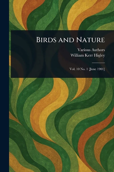 Birds and Nature