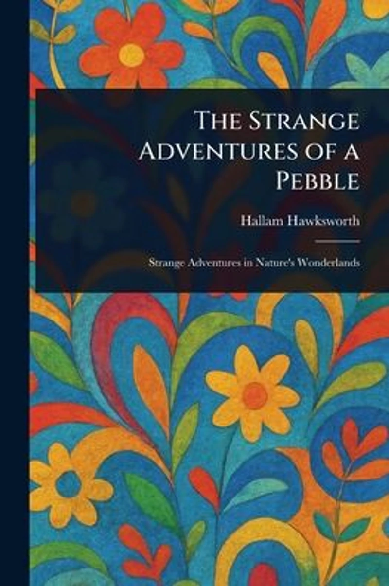 The Strange Adventures of a Pebble