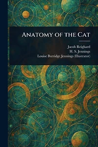 Anatomy of the Cat