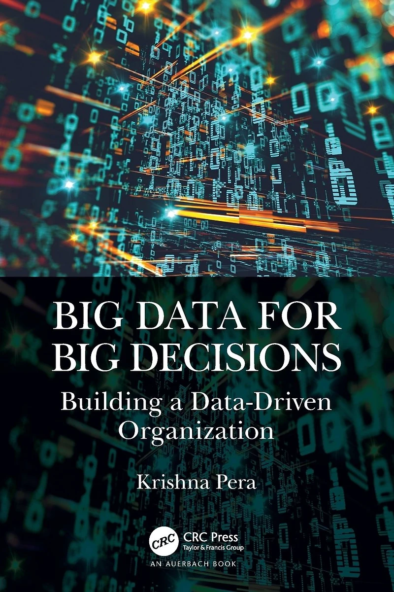 Big Data for Decisions: Building a Data-Driven Organization