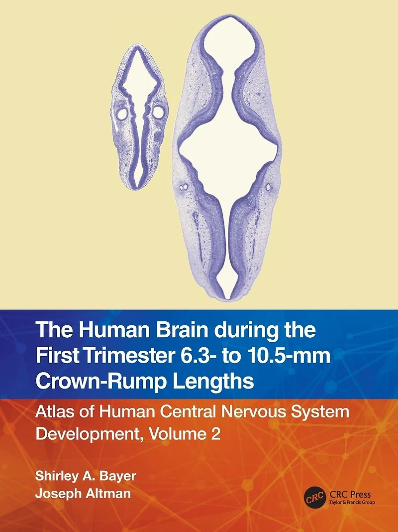 the Human Brain during First Trimester - to -mm Crown-Rump Lengths: Atlas of Central Nervous System Development