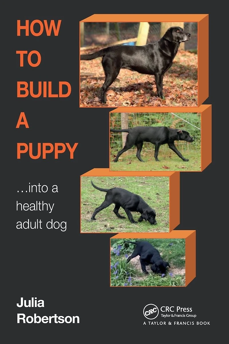 How to Build a Puppy: Into Healthy Adult Dog