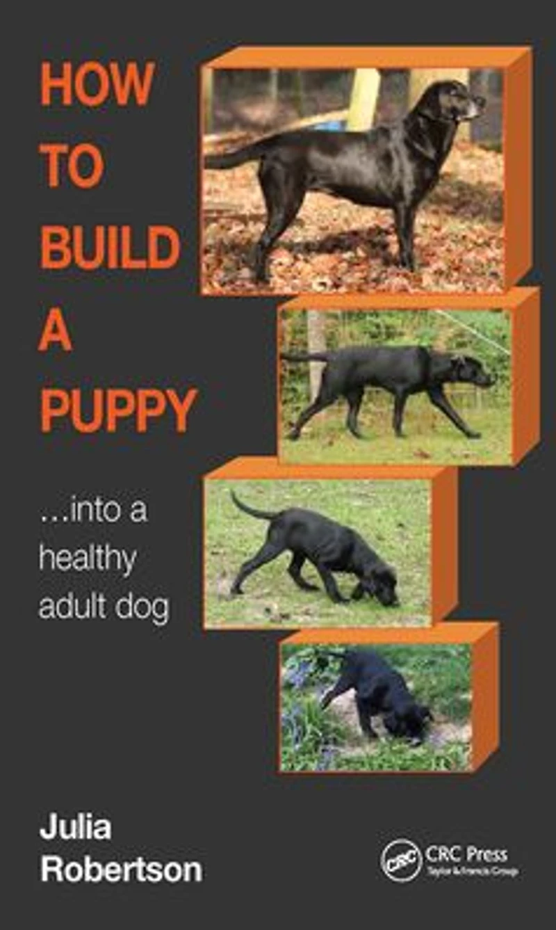 How to Build a Puppy: Into Healthy Adult Dog