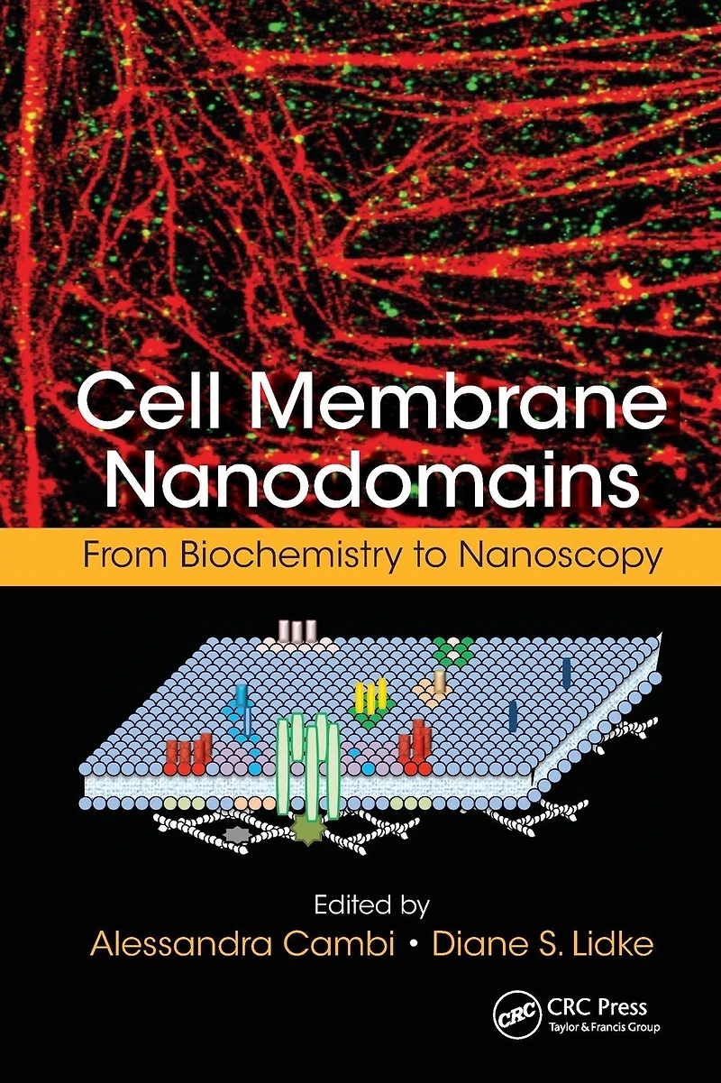 Cell Membrane Nanodomains: From Biochemistry to Nanoscopy
