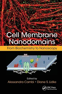 Cell Membrane Nanodomains: From Biochemistry to Nanoscopy