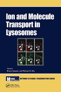Ion and Molecule Transport Lysosomes