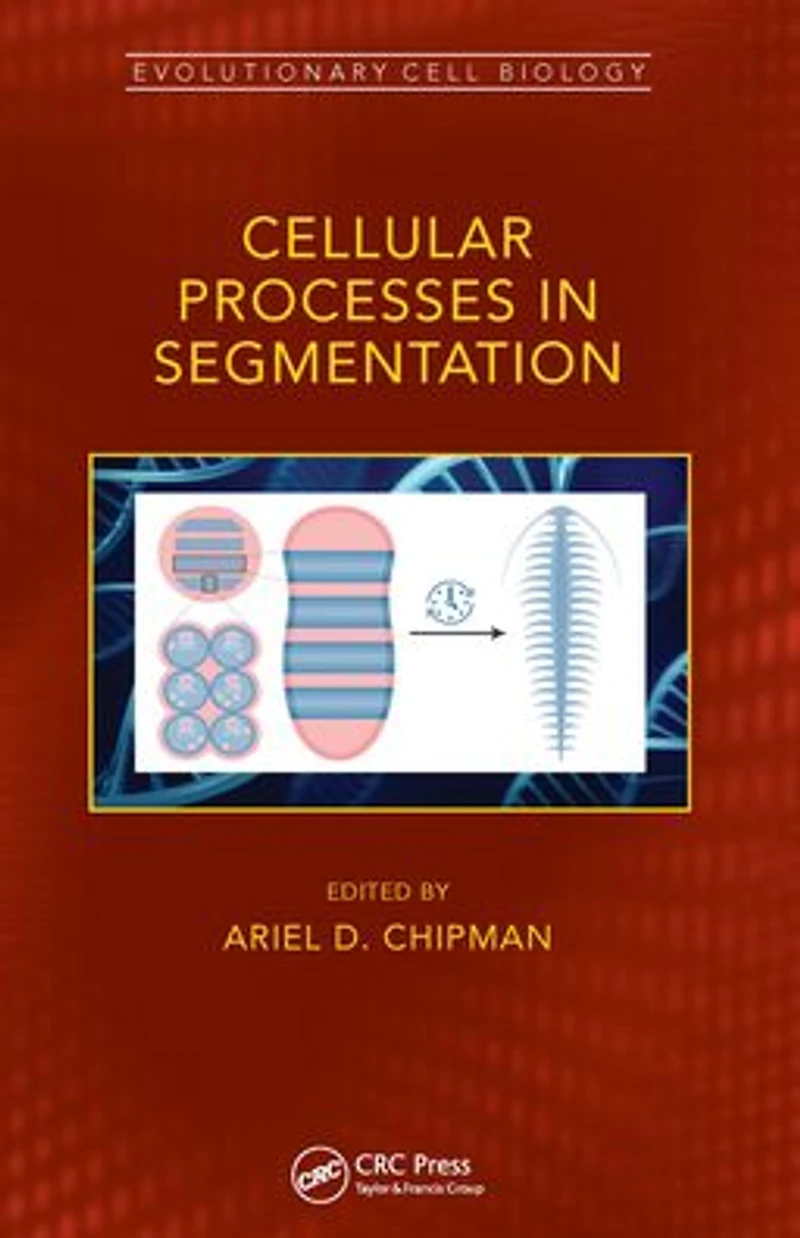 Cellular Processes Segmentation