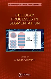 Cellular Processes Segmentation