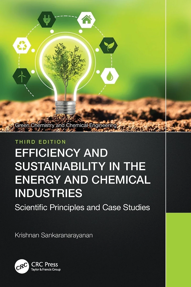 Efficiency and Sustainability the Energy Chemical Industries: Scientific Principles Case Studies