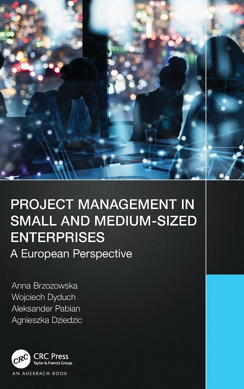 Project Management Small and Medium-Sized Enterprises: A European Perspective