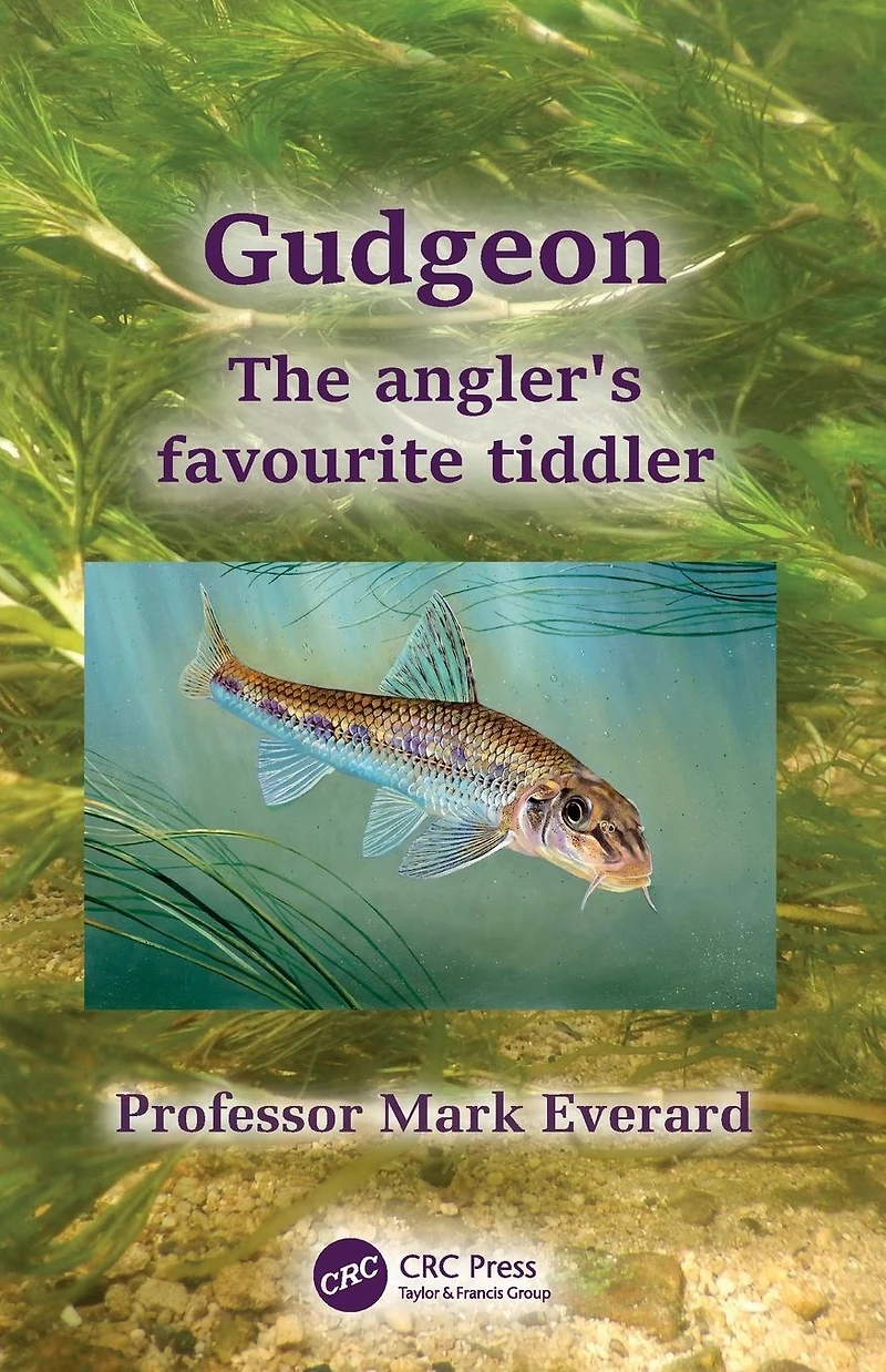Gudgeon: The angler's favourite tiddler