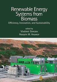 Renewable Energy Systems from Biomass: Efficiency, Innovation and Sustainability