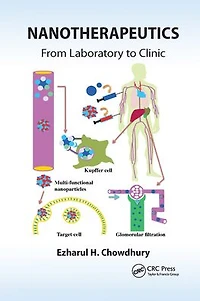 Nanotherapeutics: From Laboratory to Clinic