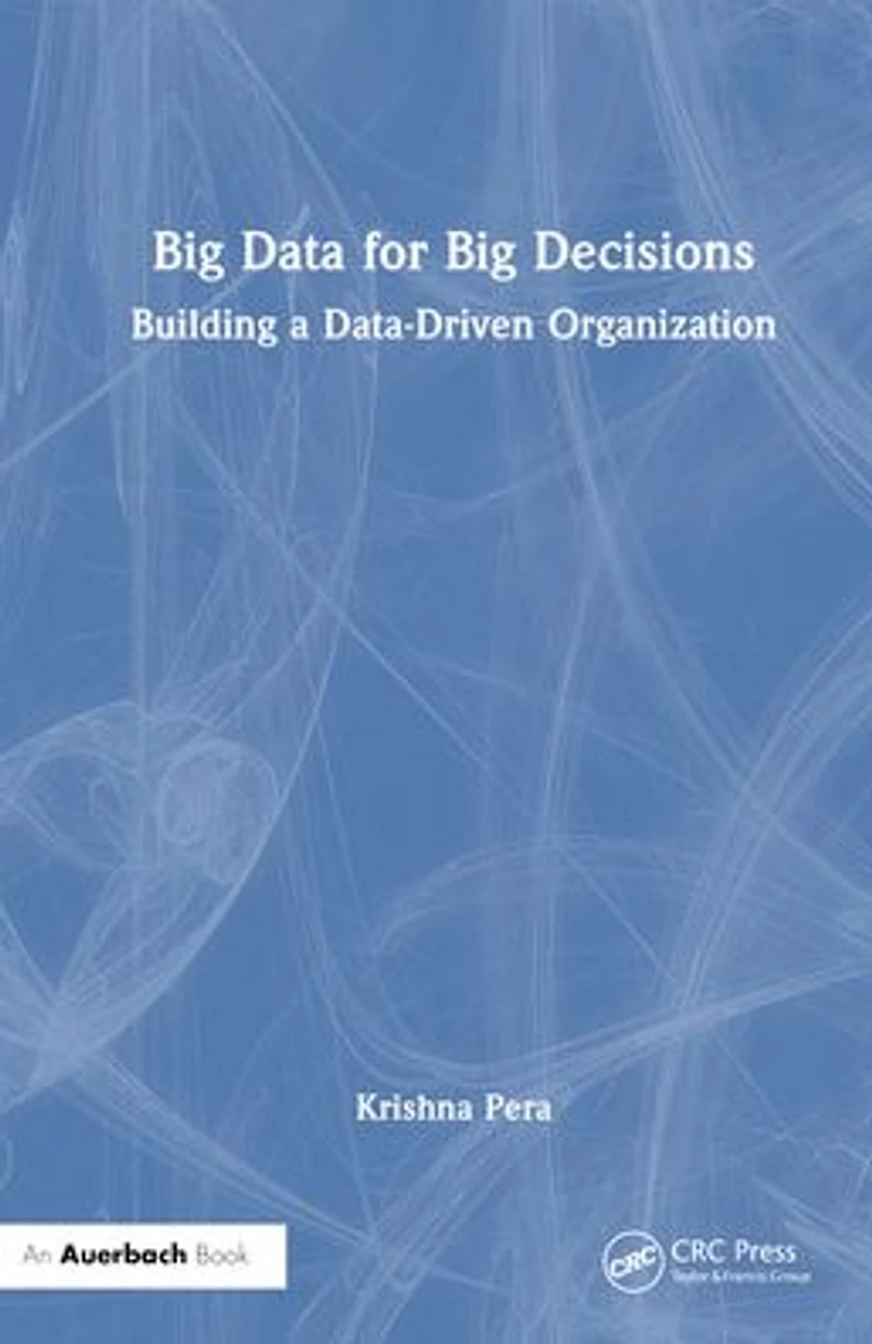 Big Data for Decisions: Building a Data-Driven Organization