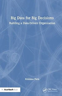 Big Data for Decisions: Building a Data-Driven Organization