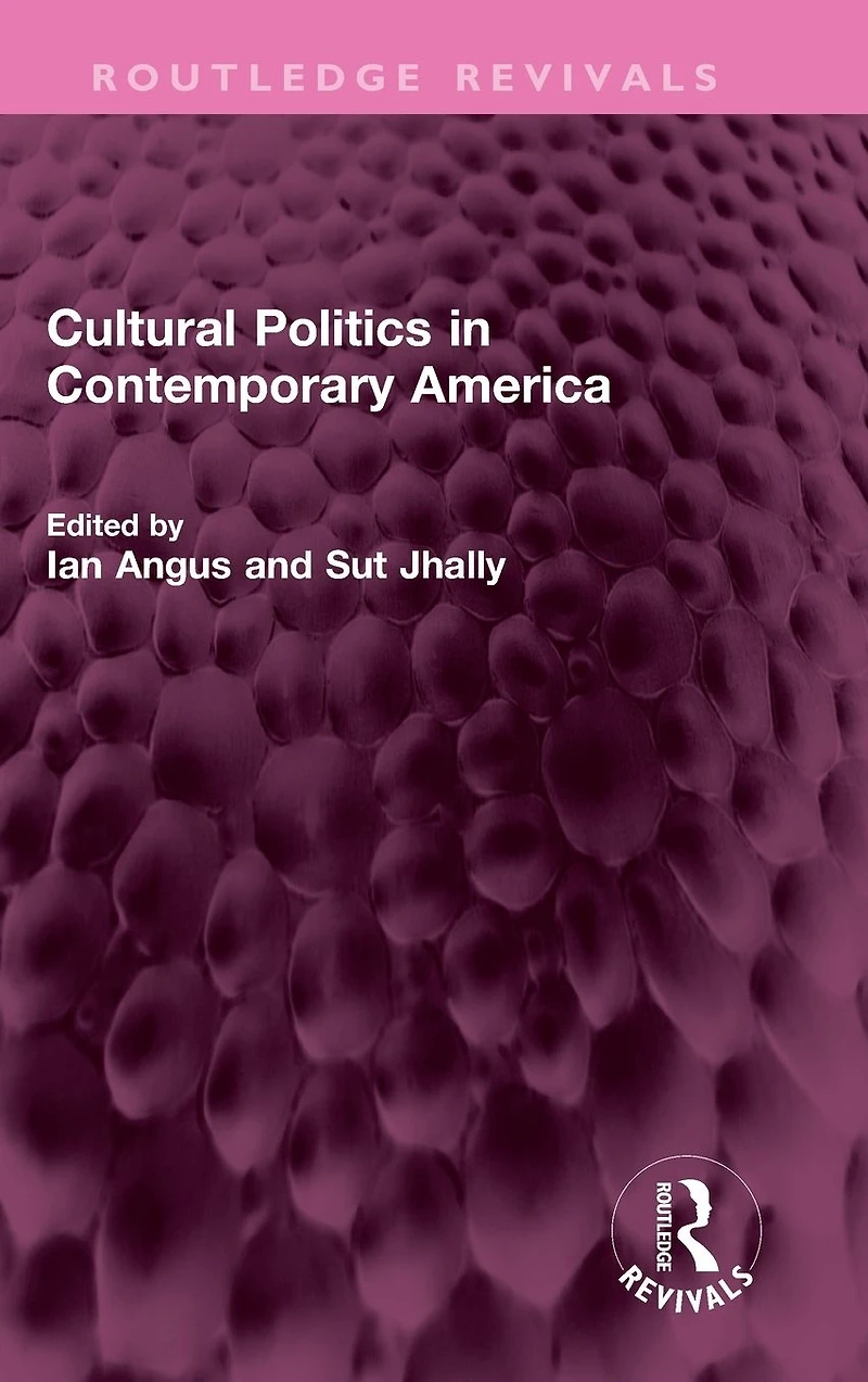 Cultural Politics Contemporary America