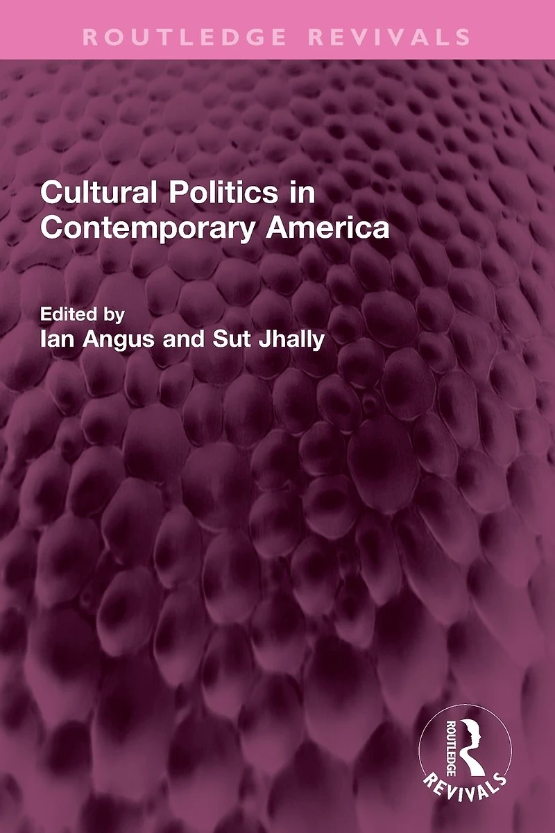 Cultural Politics Contemporary America