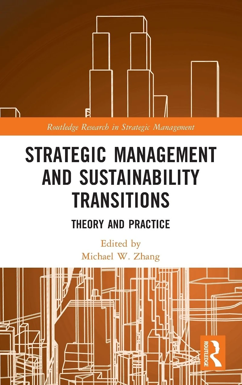 Strategic Management and Sustainability Transitions: Theory Practice