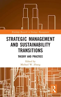 Strategic Management and Sustainability Transitions: Theory Practice