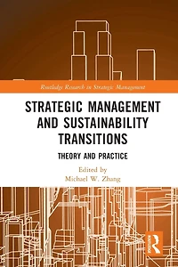 Strategic Management and Sustainability Transitions: Theory Practice