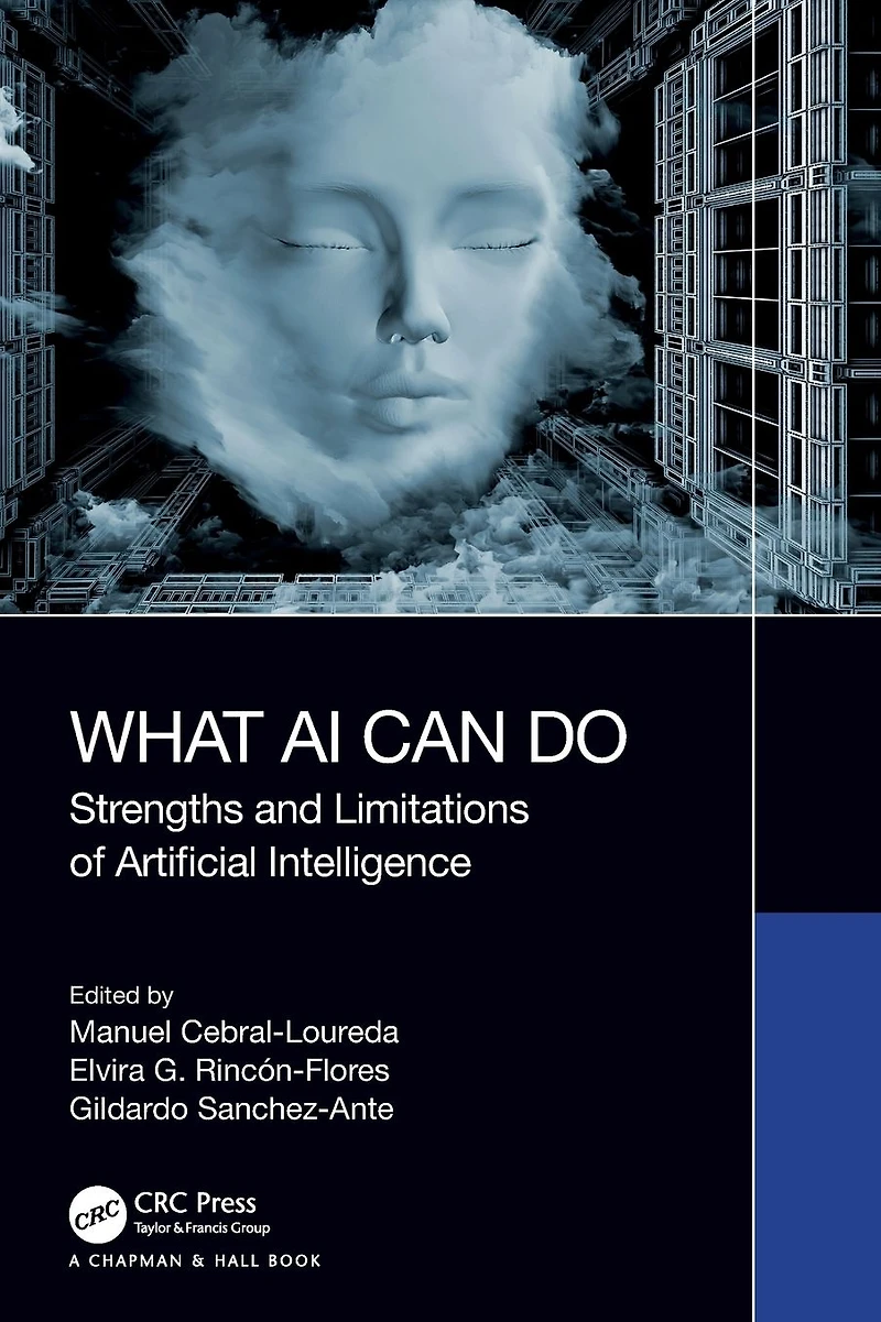 What AI Can Do: Strengths and Limitations of Artificial Intelligence