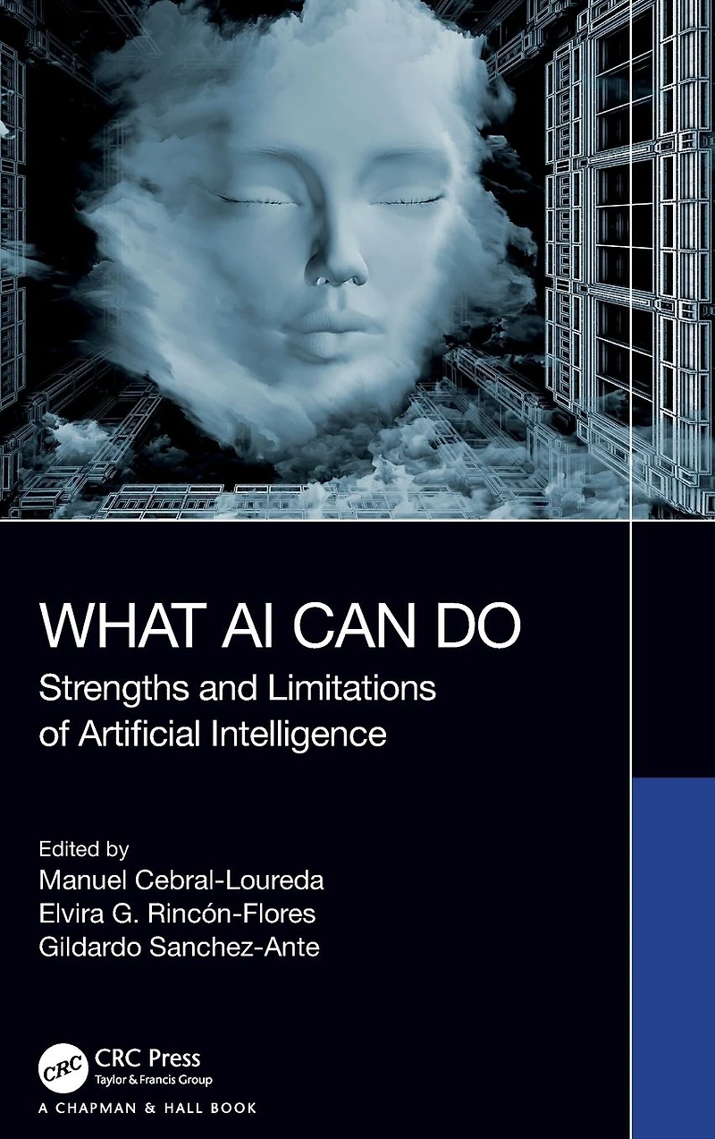 What AI Can Do: Strengths and Limitations of Artificial Intelligence
