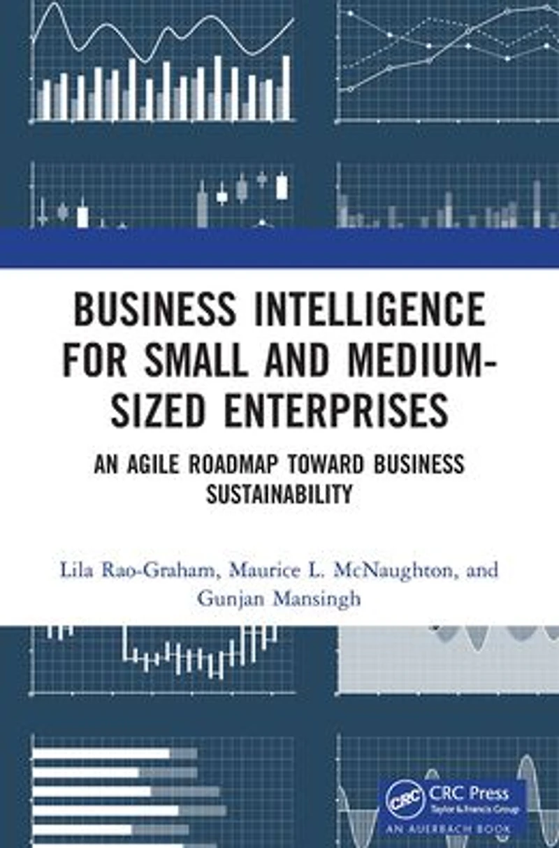Business Intelligence for Small and Medium-Sized Enterprises: An Agile Roadmap toward Sustainability