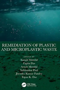 Remediation of Plastic and Microplastic Waste
