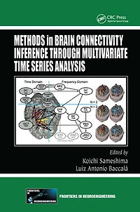 Methods Brain Connectivity Inference through Multivariate Time Series Analysis