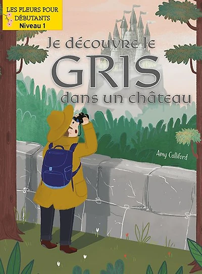 Je decouvre le gris dans un chateau (I Spy Gray in a Castle)