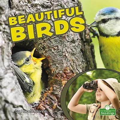Beautiful Birds