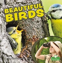 Beautiful Birds