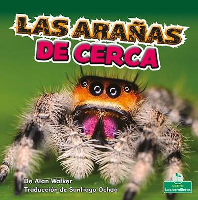 Las aranas de cerca (Spiders Up Close)