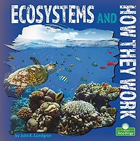 Ecosystems and How They Work