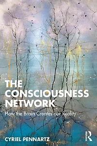 the Consciousness Network: How Brain Creates our Reality