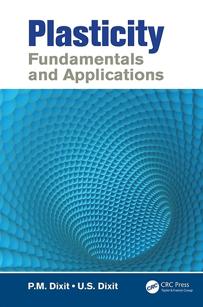 Plasticity: Fundamentals and Applications
