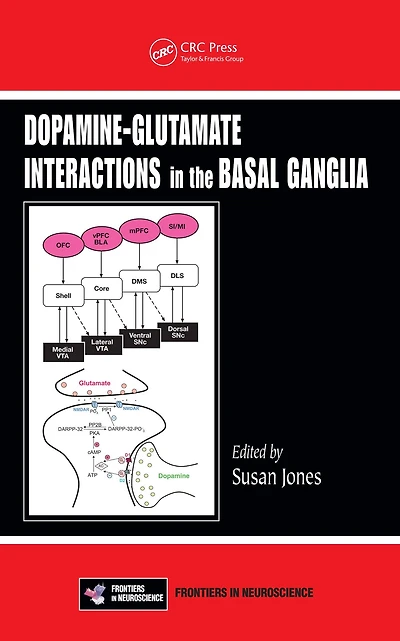 Dopamine - Glutamate Interactions the Basal Ganglia
