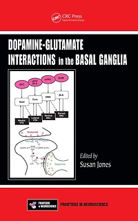 Dopamine - Glutamate Interactions the Basal Ganglia