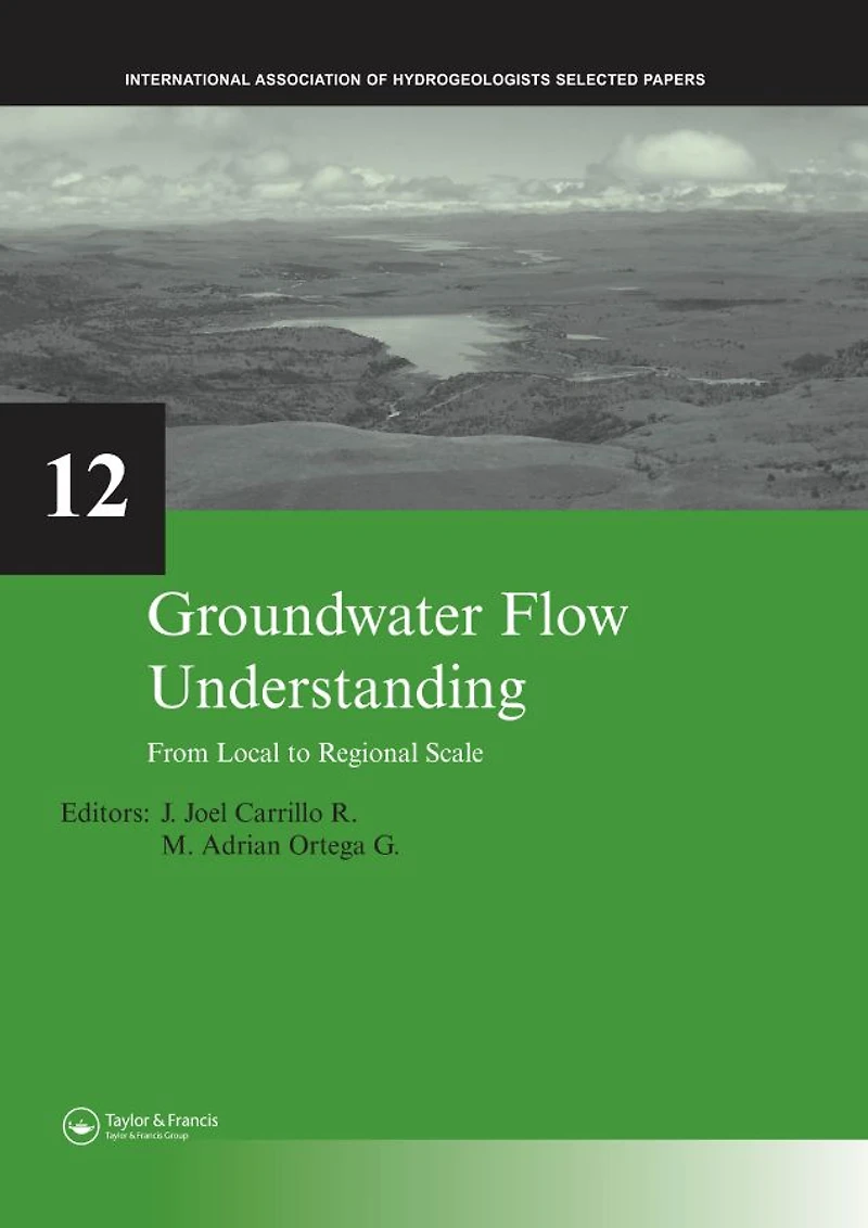 Groundwater Flow Understanding: From Local to Regional Scale