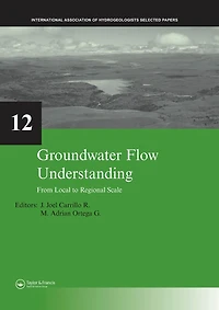 Groundwater Flow Understanding: From Local to Regional Scale