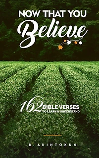 Now That You Believe: 162 Bible Verses To Learn & Understand