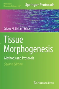 Tissue Morphogenesis: Methods and Protocols