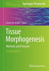 Tissue Morphogenesis: Methods and Protocols