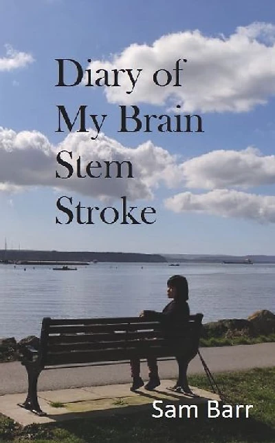 Diary of My Brain Stem Stroke: The remarkable, true story of survival and rehabilitation from a massive Brain Stem Stroke