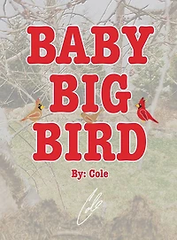 Baby Big Bird