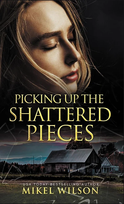 Picking Up The Shattered Pieces