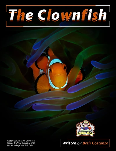 Clownfish Activity Workbook For Kids