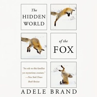 the Hidden World of Fox