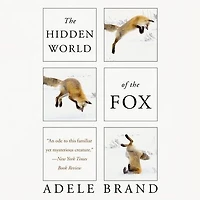 the Hidden World of Fox