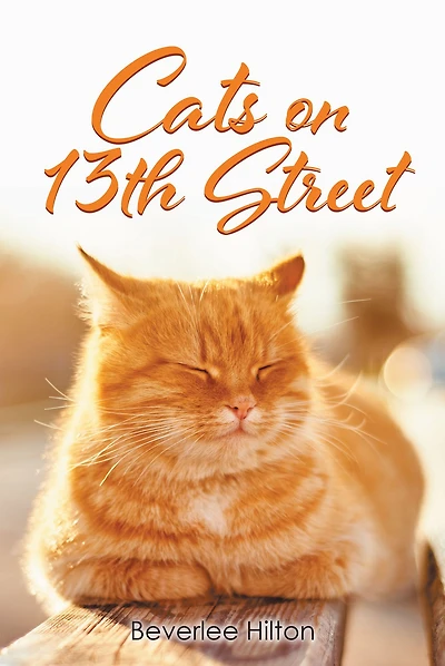 Cats on 13th Street